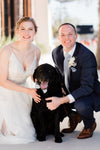 dusty blue wedding with bride and groom dog details