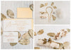 Featured: Weddings Unveiled