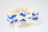 Ivory and Bright Blue Garter